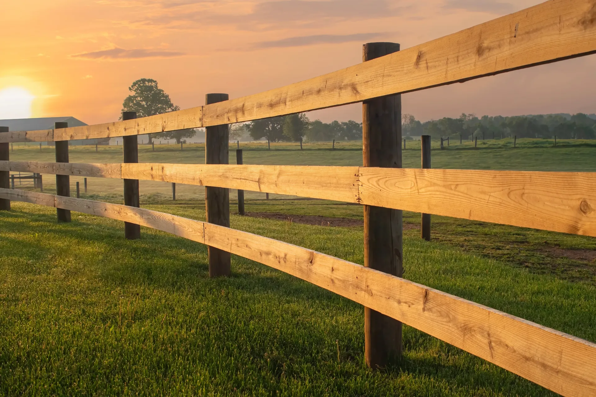 Wooden fence in a grassy field at sunrise, casting warm light on the scene.