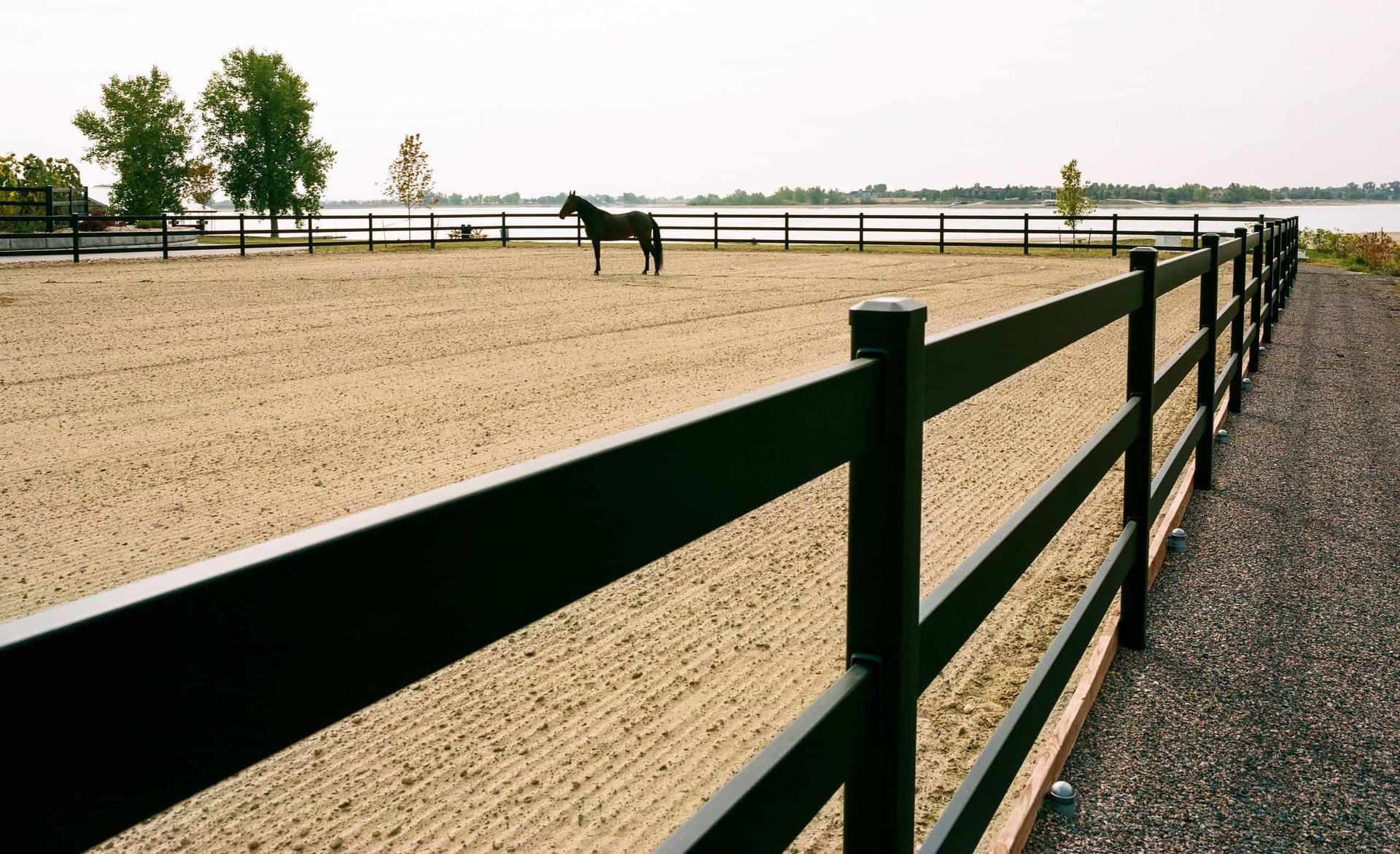 A black horse stands in a sandy riding arena enclosed by a black fence, with a body of water in the distance.