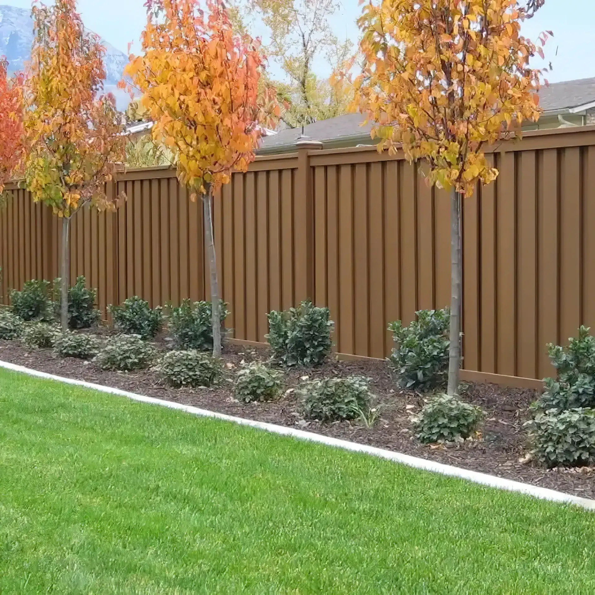 Row of trees with autumn leaves in front of a brown fence, with green bushes and lawn.
