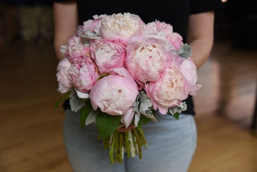 Person holding a bouquet of pink and cream peonies with silver foliage.