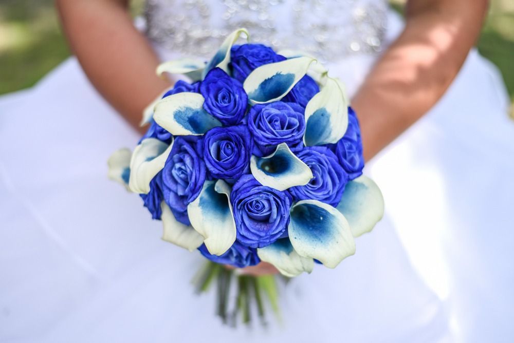 Bride holding a bouquet of blue roses and white calla lilies.