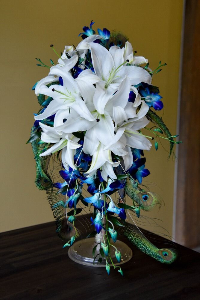 White lilies and blue orchids cascade in a bouquet, accented by peacock feathers.