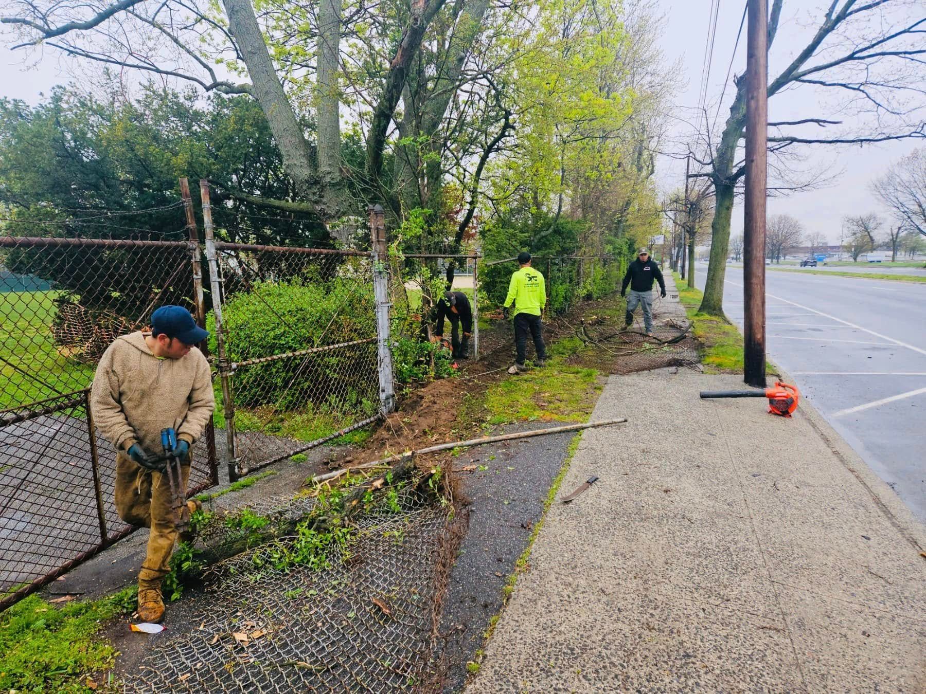 Workers clear vegetation near a fence and sidewalk on a roadside; one uses a tool, others rake.