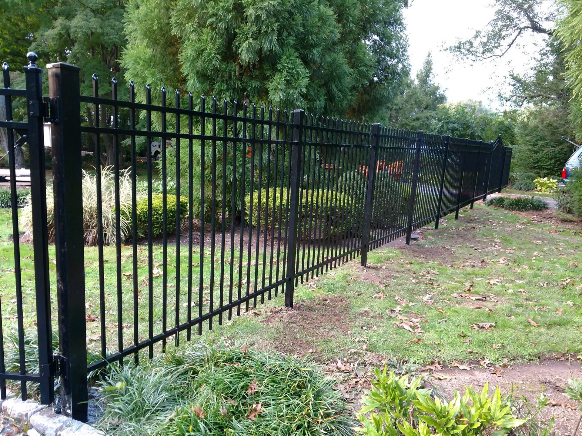 Black metal fence in a yard with green grass and foliage.