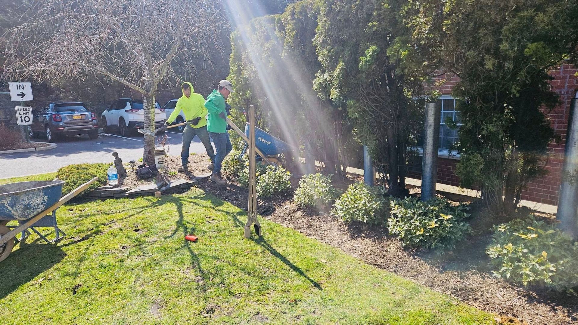 Two people trimming bushes in a yard on a sunny day.