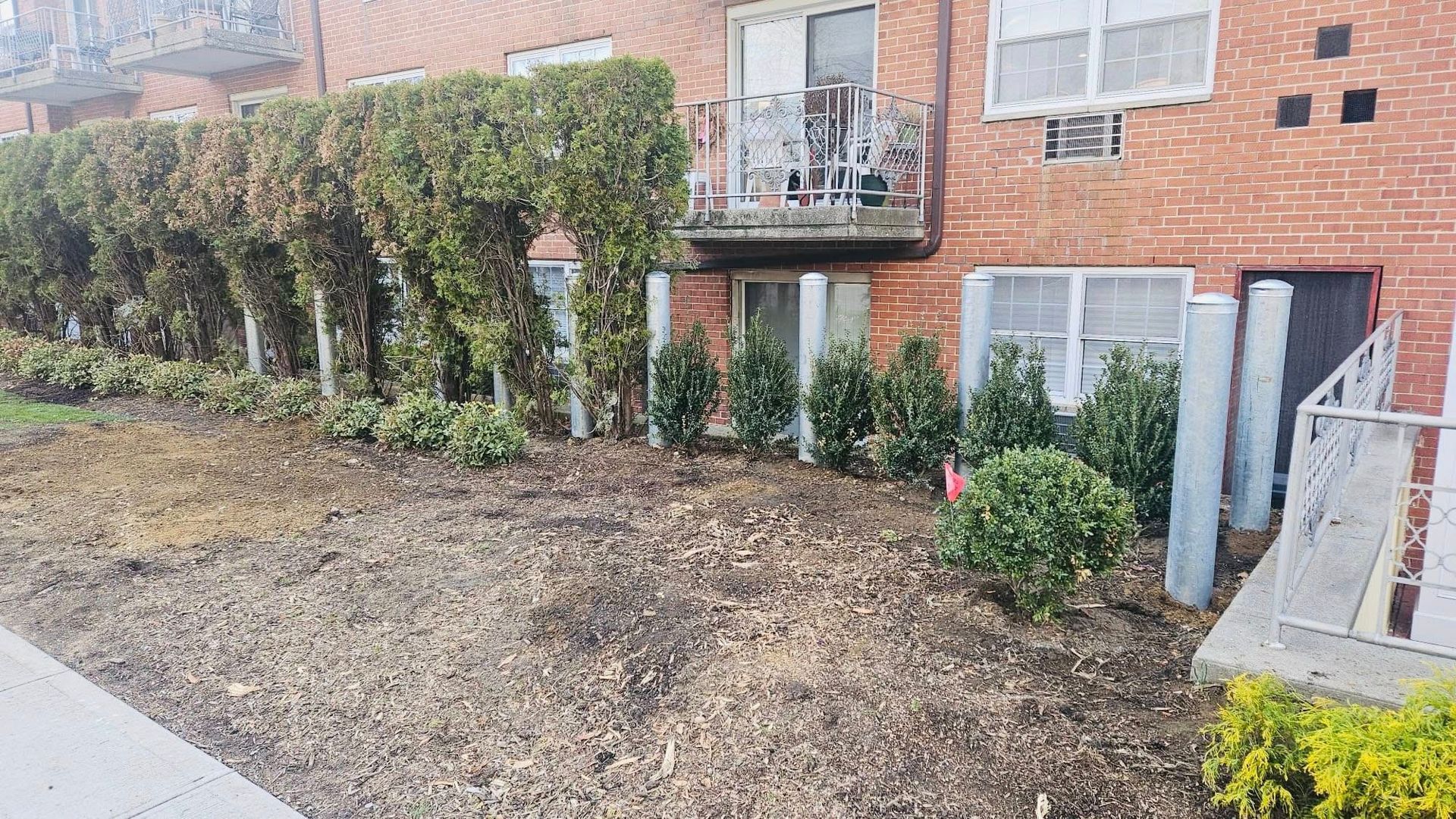 Exterior view of a brick building with a line of trimmed hedges and bare soil in front.