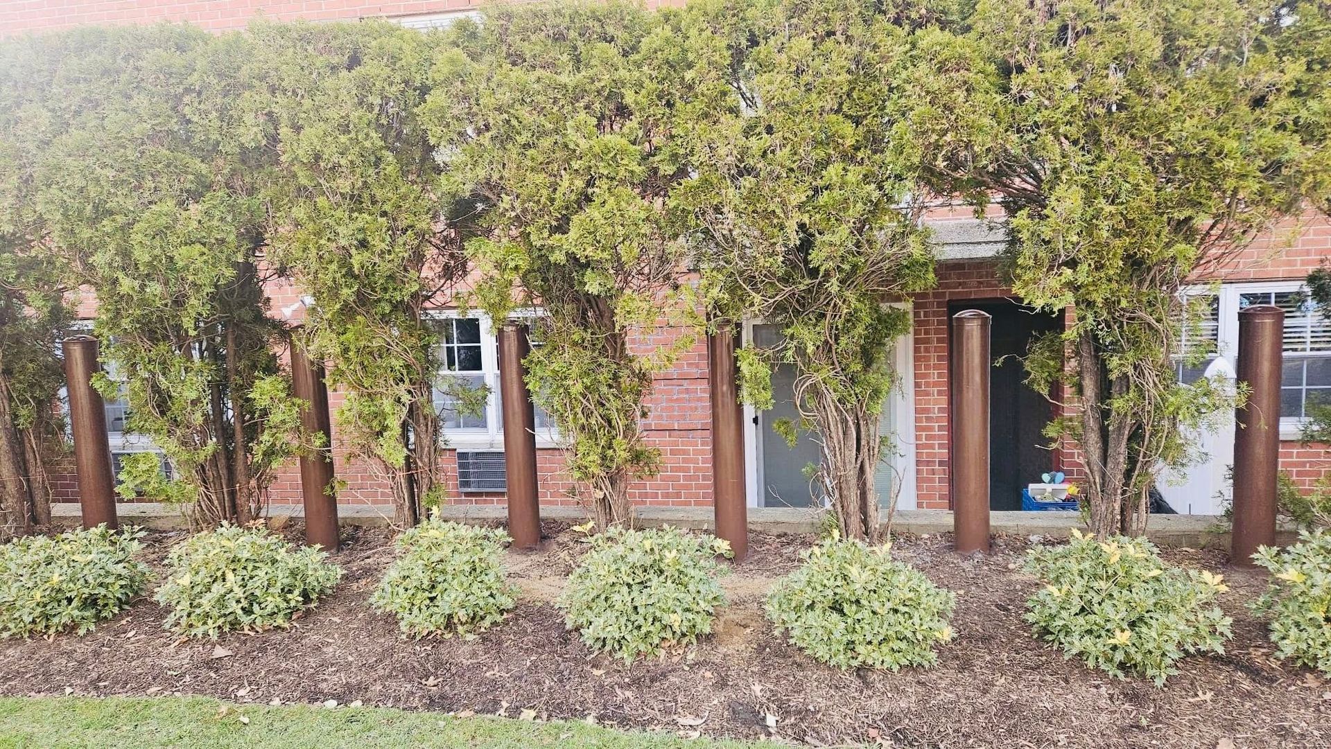 Brown posts supporting a row of green, leafy trees in front of a brick building with white windows and a door.