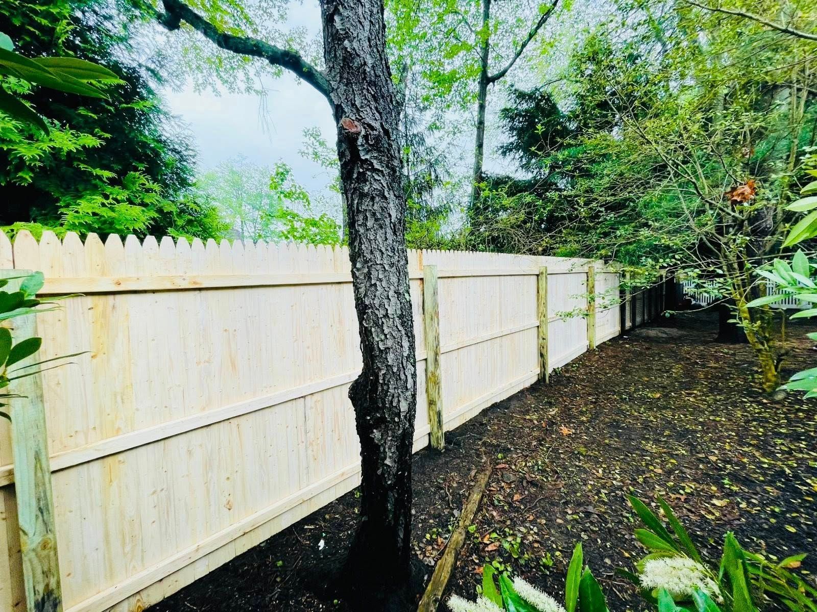 Wooden fence in a yard with a tree in the foreground and green foliage.