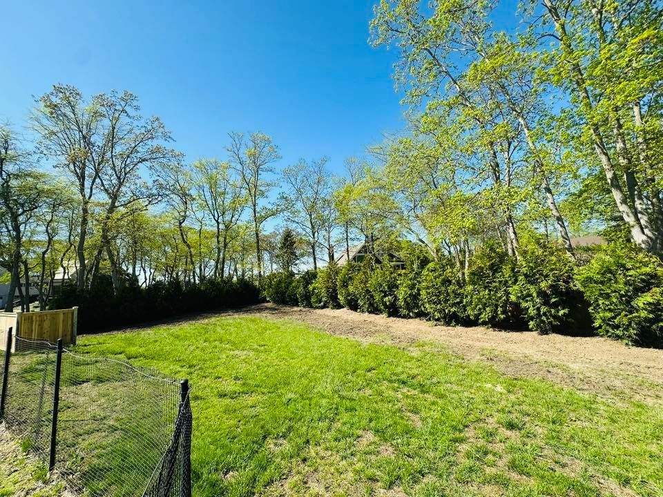 Green field lined with dark green shrubs and trees under a clear blue sky.