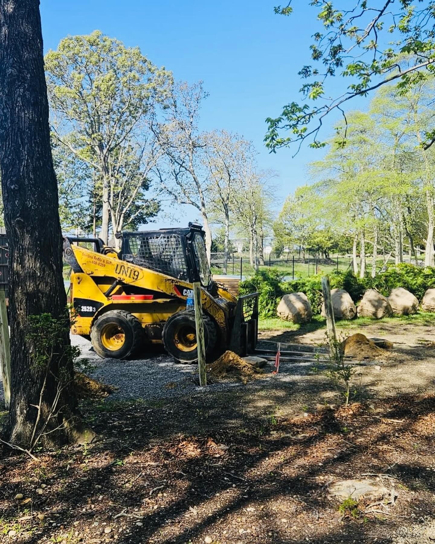 Yellow skid steer in a gravel area near a tree, blue sky, and trees in the background.