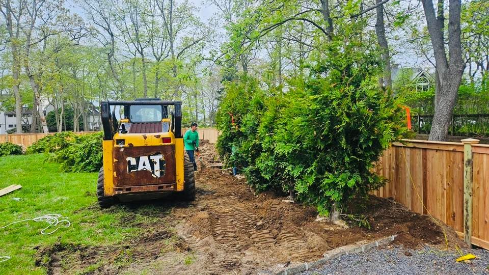 Yellow CAT skid steer, man, and evergreens on a dirt plot near a wooden fence.