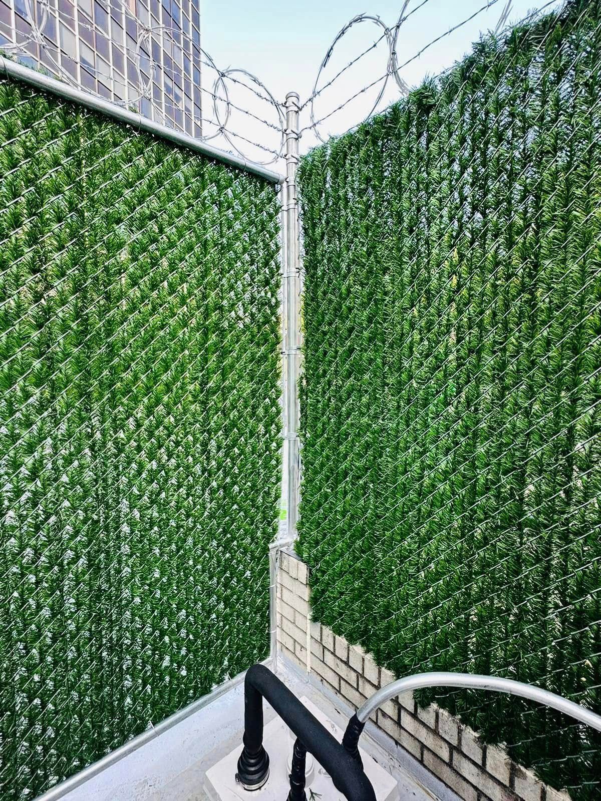 Green privacy fence with razor wire, on a brick wall with black piping visible below.