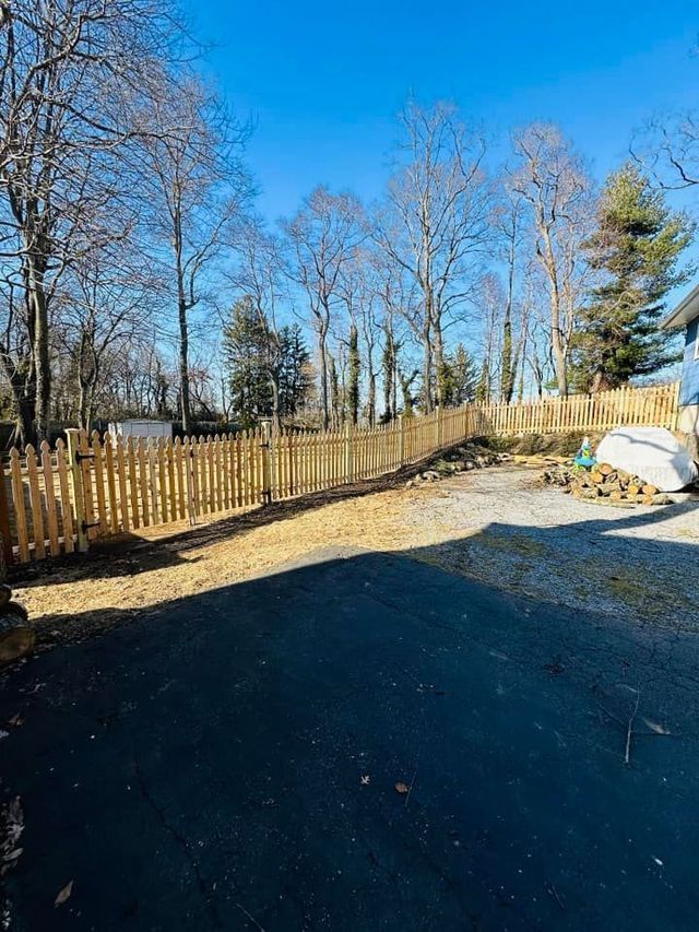 Sunny backyard with bare trees, wooden fence, gravel path, and blue sky