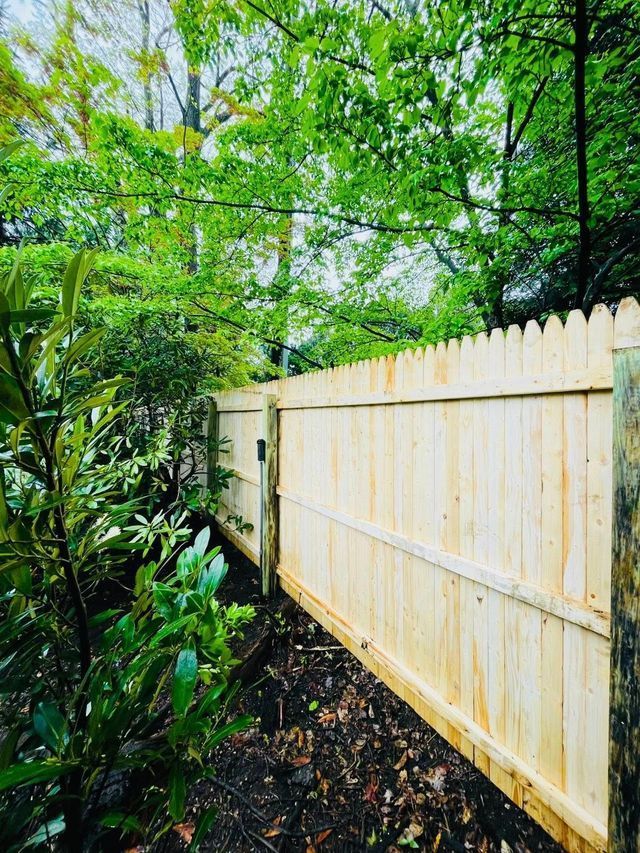 A white wooden fence beside dense green trees and shrubs in a wooded yard.