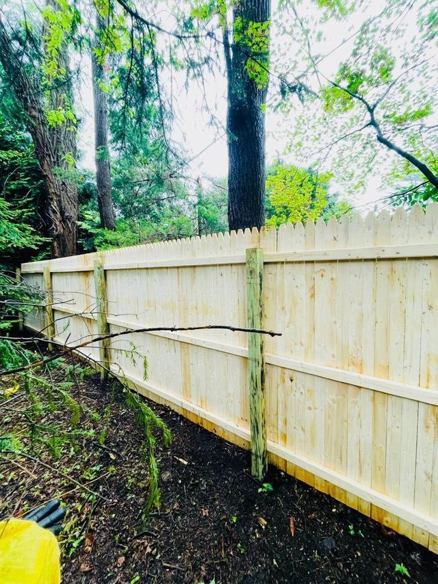 Wooden fence along a muddy path in a wooded area with tall trees and green foliage