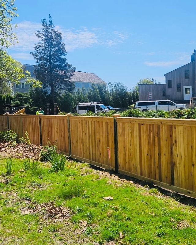 Sunny backyard with a wooden fence, green lawn, shrubs, and parked cars beside houses under a blue sky