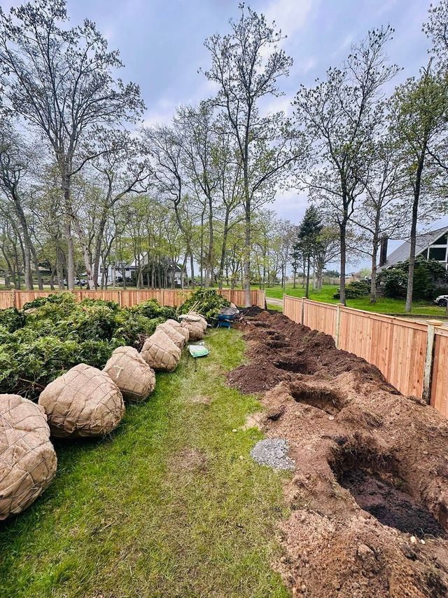 Park landscape with trees, grass path, boulder edging, and mulch-lined garden beds