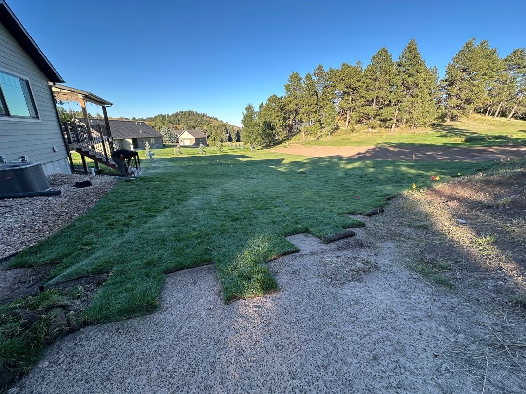 Grassy yard beside a house with gravel path, trees, and a sunny open field in the distance