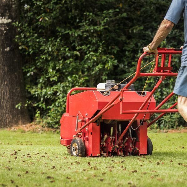 A person pushing a red lawn aerator across a grassy lawn with trees in the background.