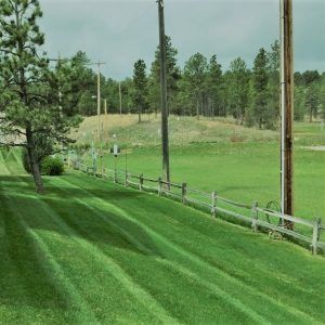 A mowed, grassy lawn slopes down toward a wooden fence, with power lines and a dense forest in the background.