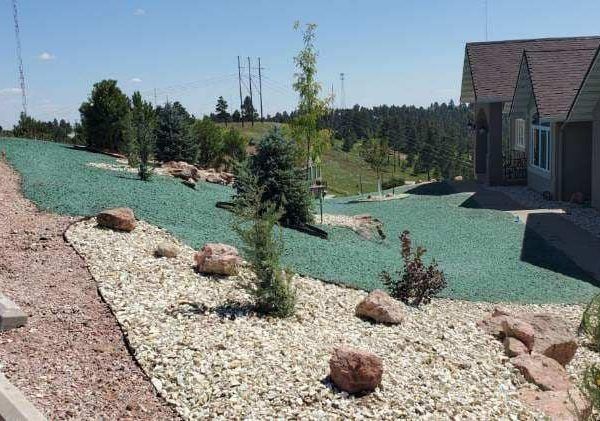 A sunny landscaped yard features a blue-tinted sloped area, rock-covered beds, shrubs, and a portion of a house exterior.