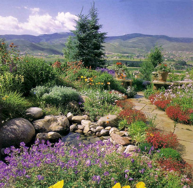 A garden with purple and yellow flowers and mountains in the background
