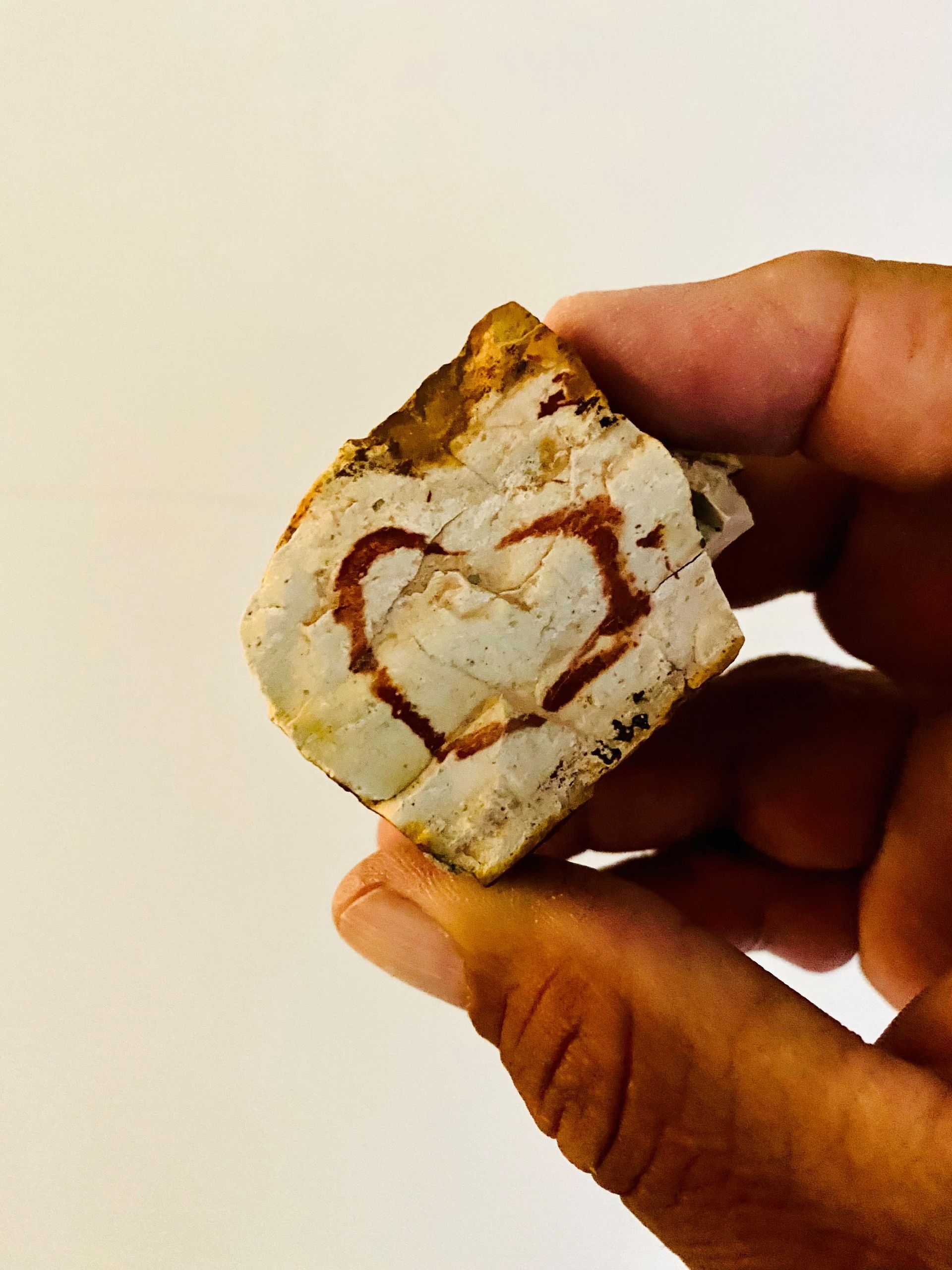 A person is holding a piece of rock.