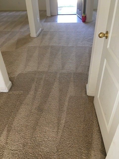 A hallway with a carpeted floor and a white door.