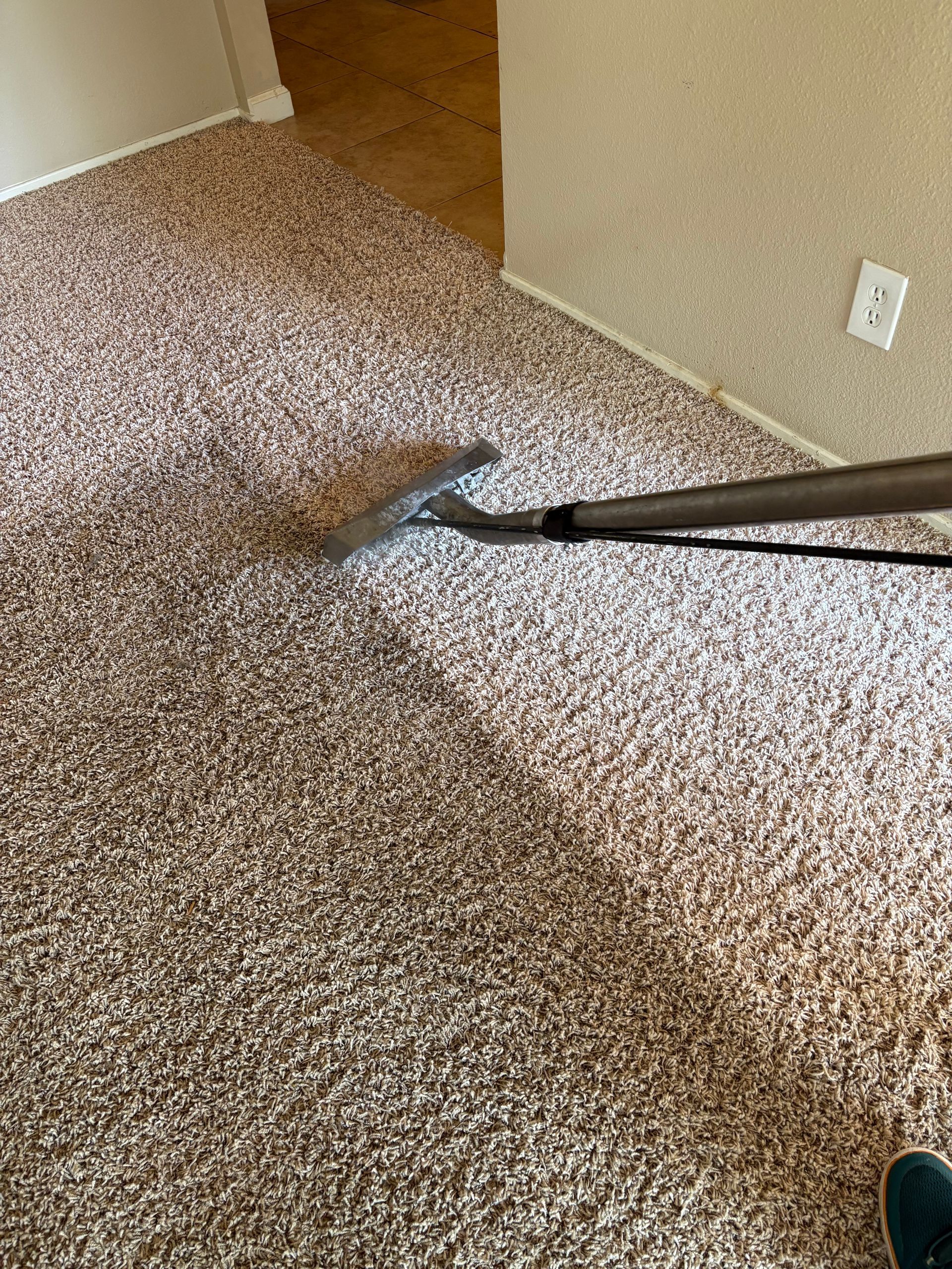 A person is cleaning a carpet with a vacuum cleaner.