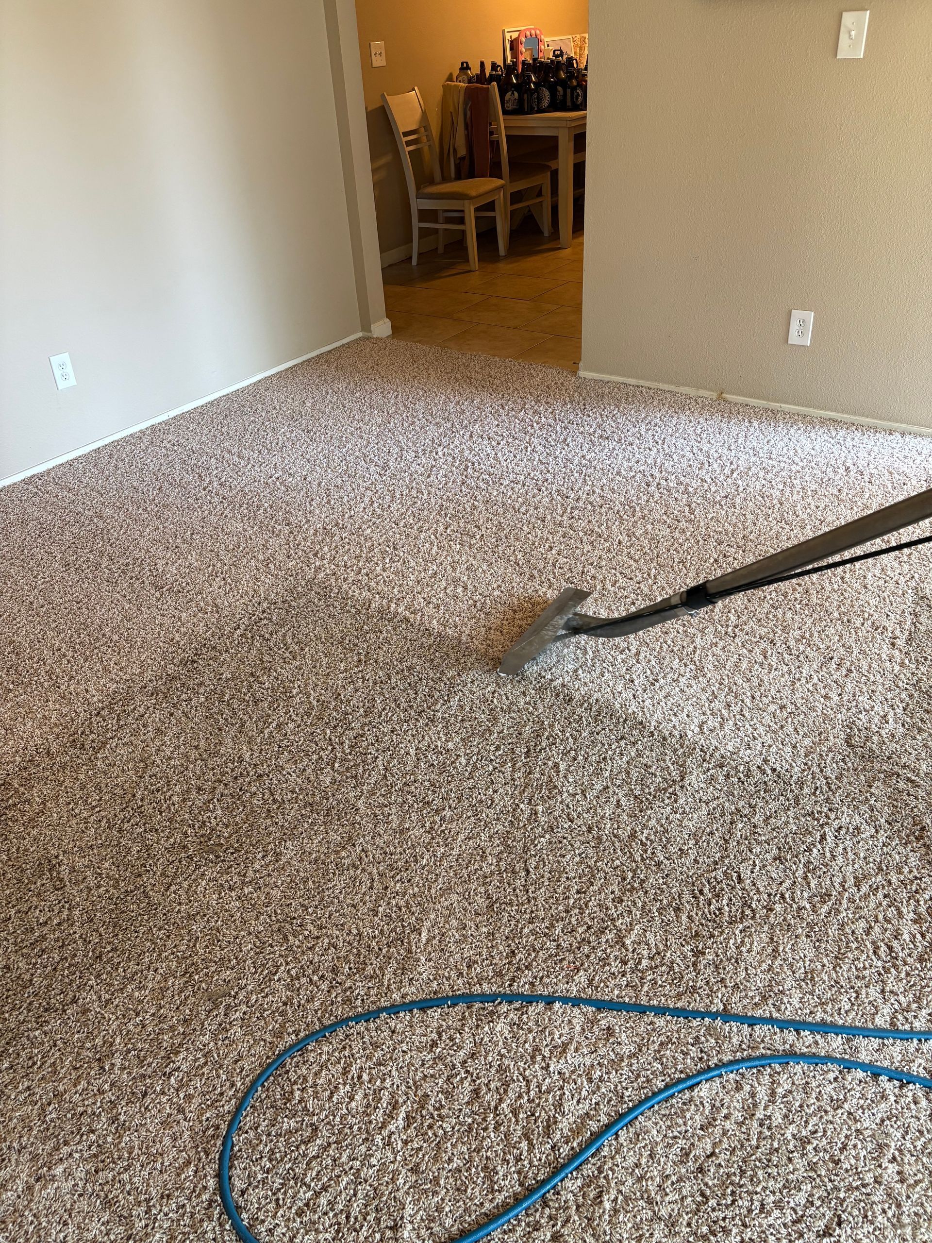 A vacuum cleaner is cleaning a carpet in a living room.