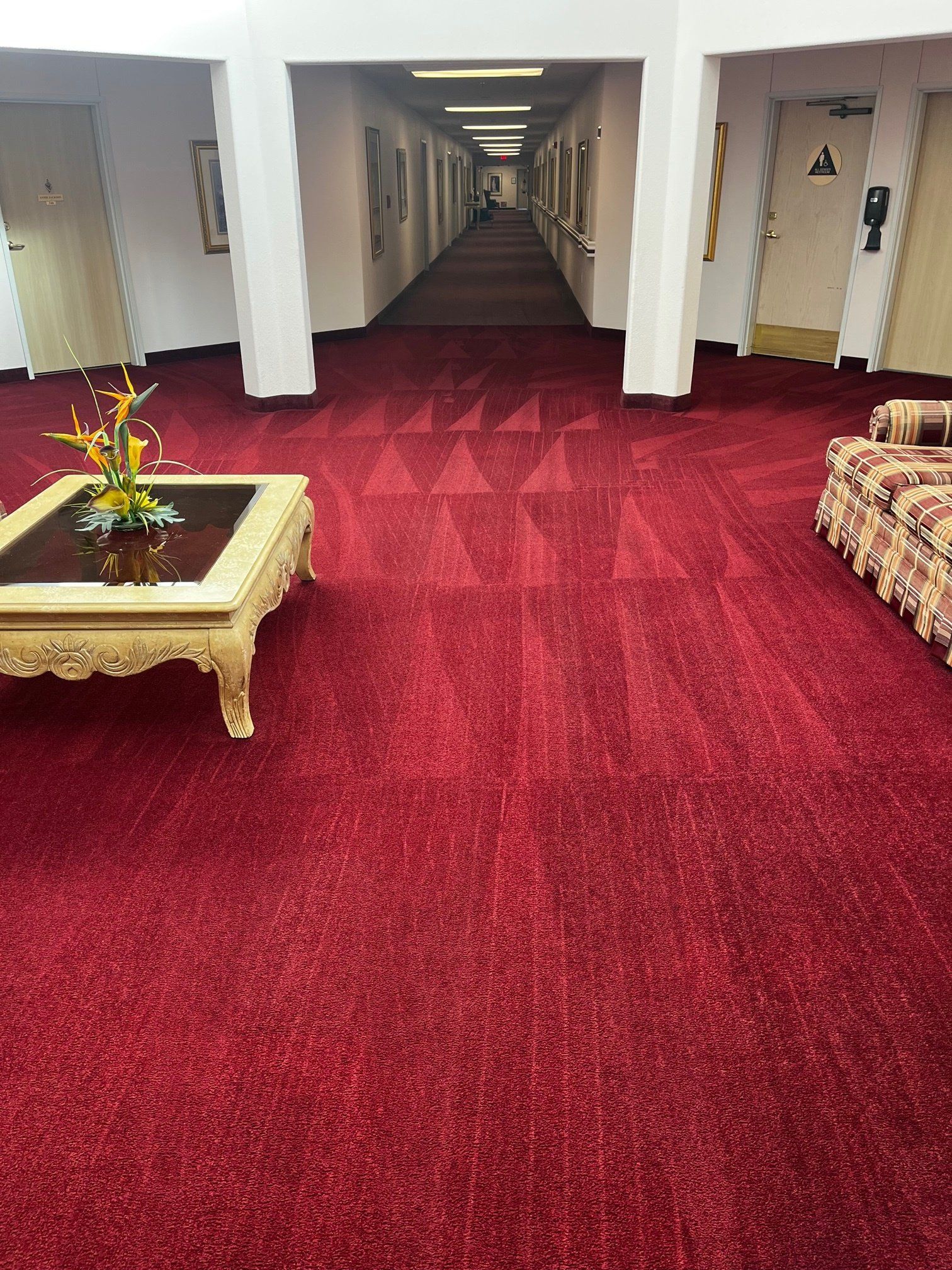 clean commercial carpet