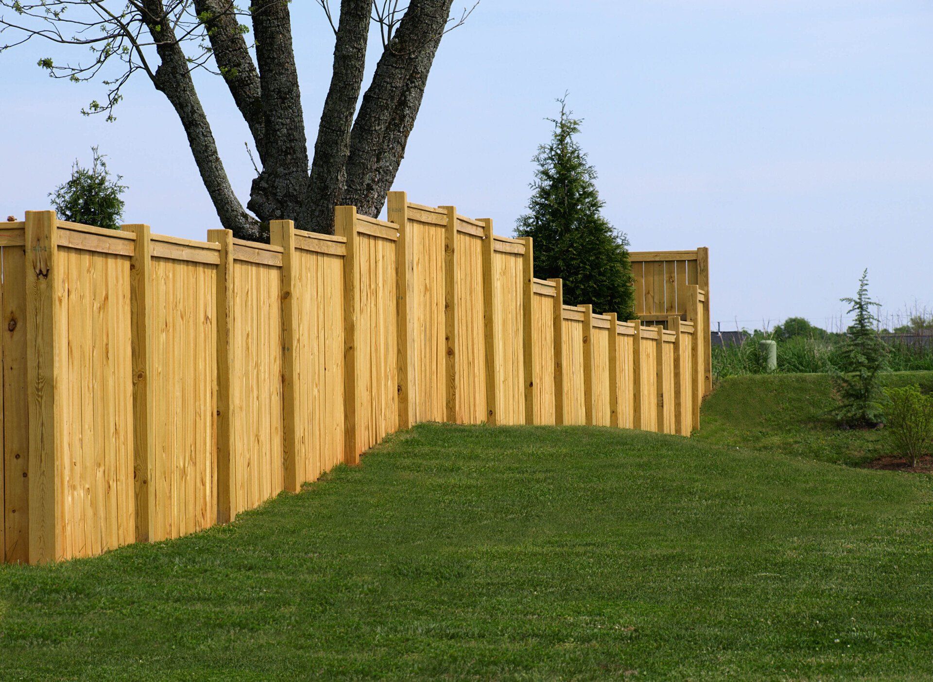 Wood fence