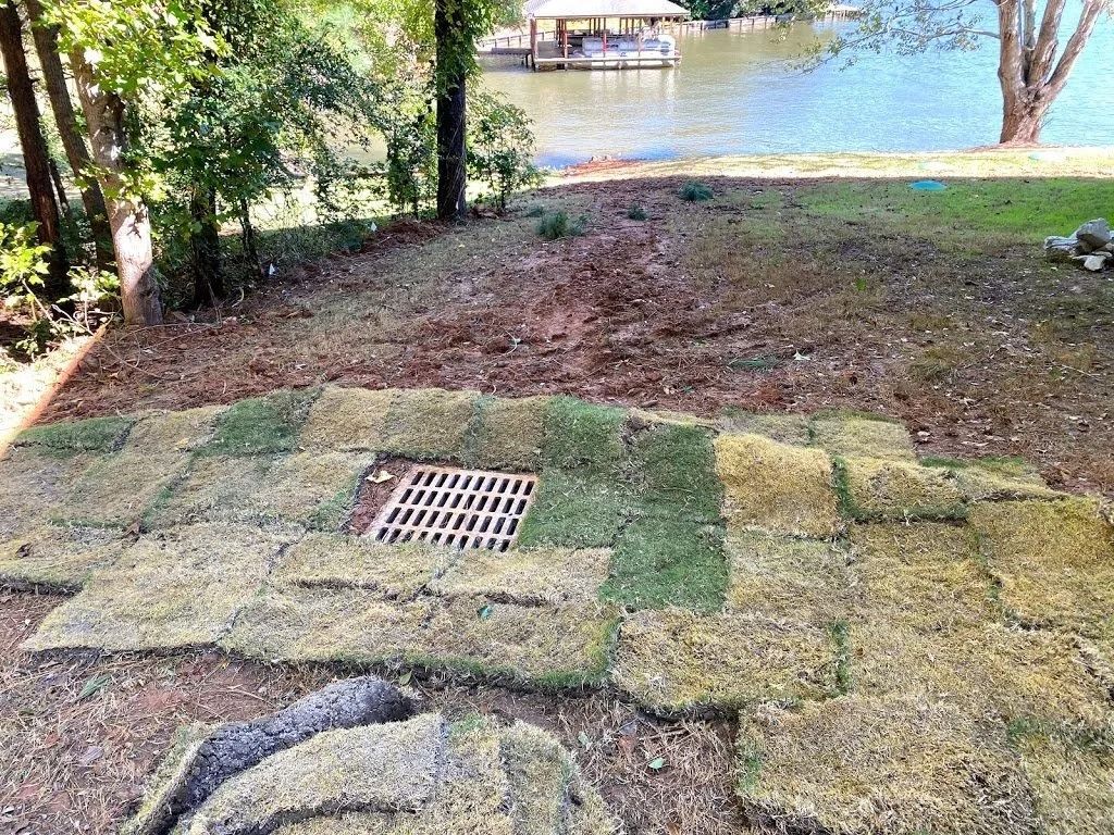 Newly laid sod squares surround a square metal storm drain in a yard near a lake.