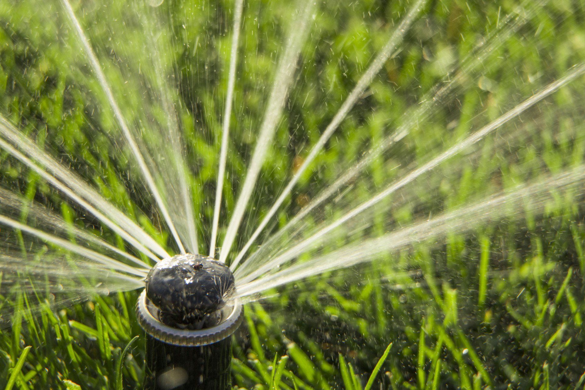A sprinkler spraying water in multiple jets over a green grass lawn.