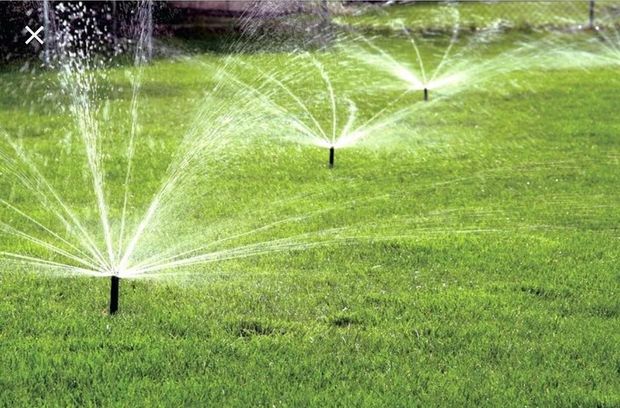 Three lawn sprinklers spray water in circular patterns over a lush green grassy yard.