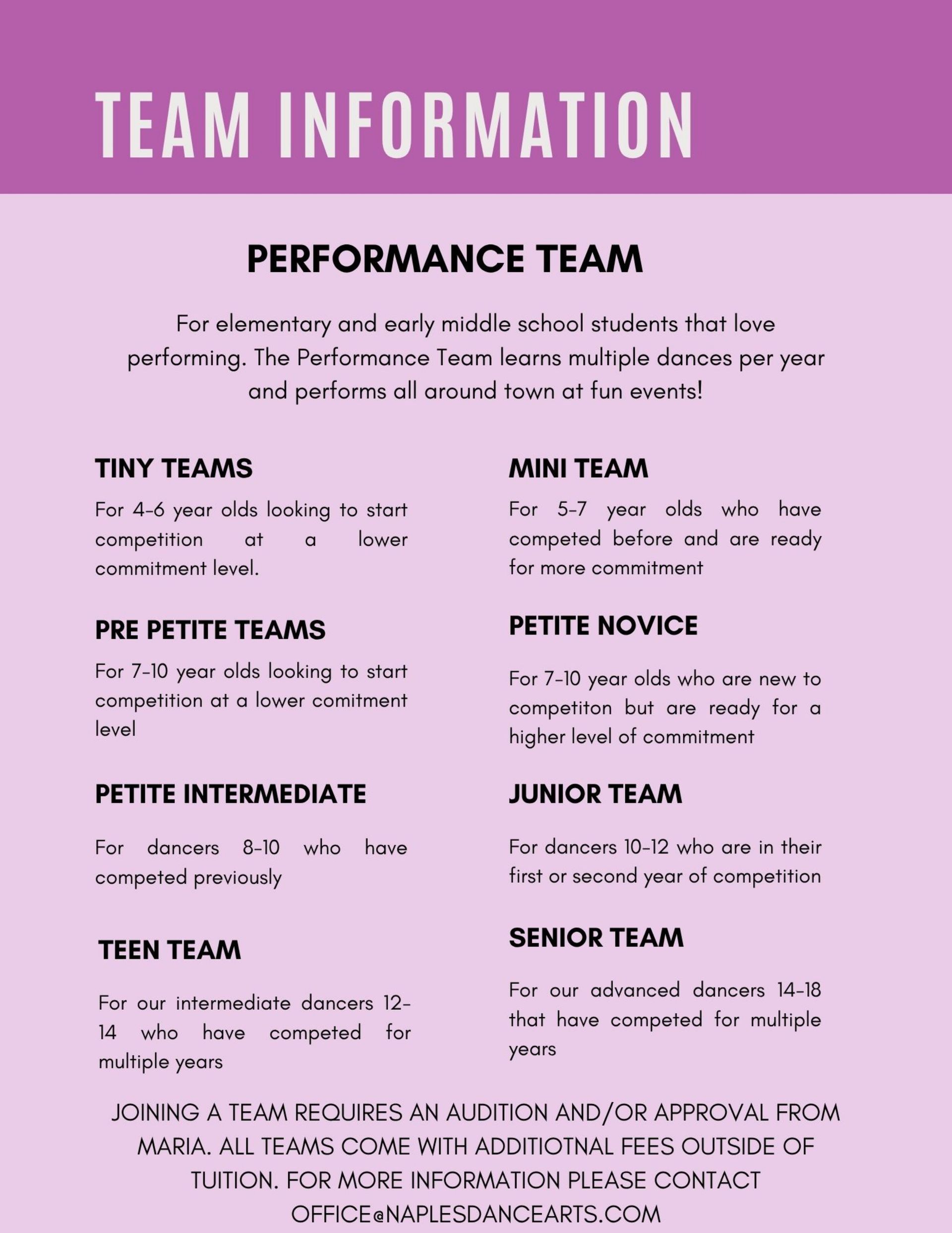 Team information infographic with purple header and two-column performance team levels.