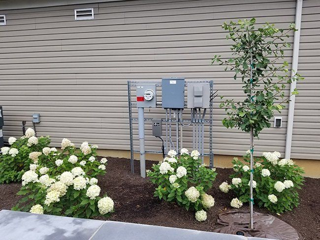 C Mechanical Services Projects