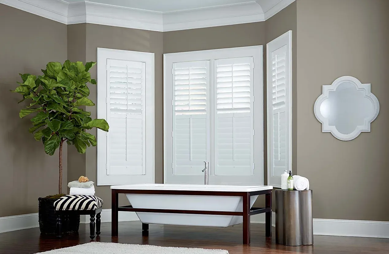 Window Shutters