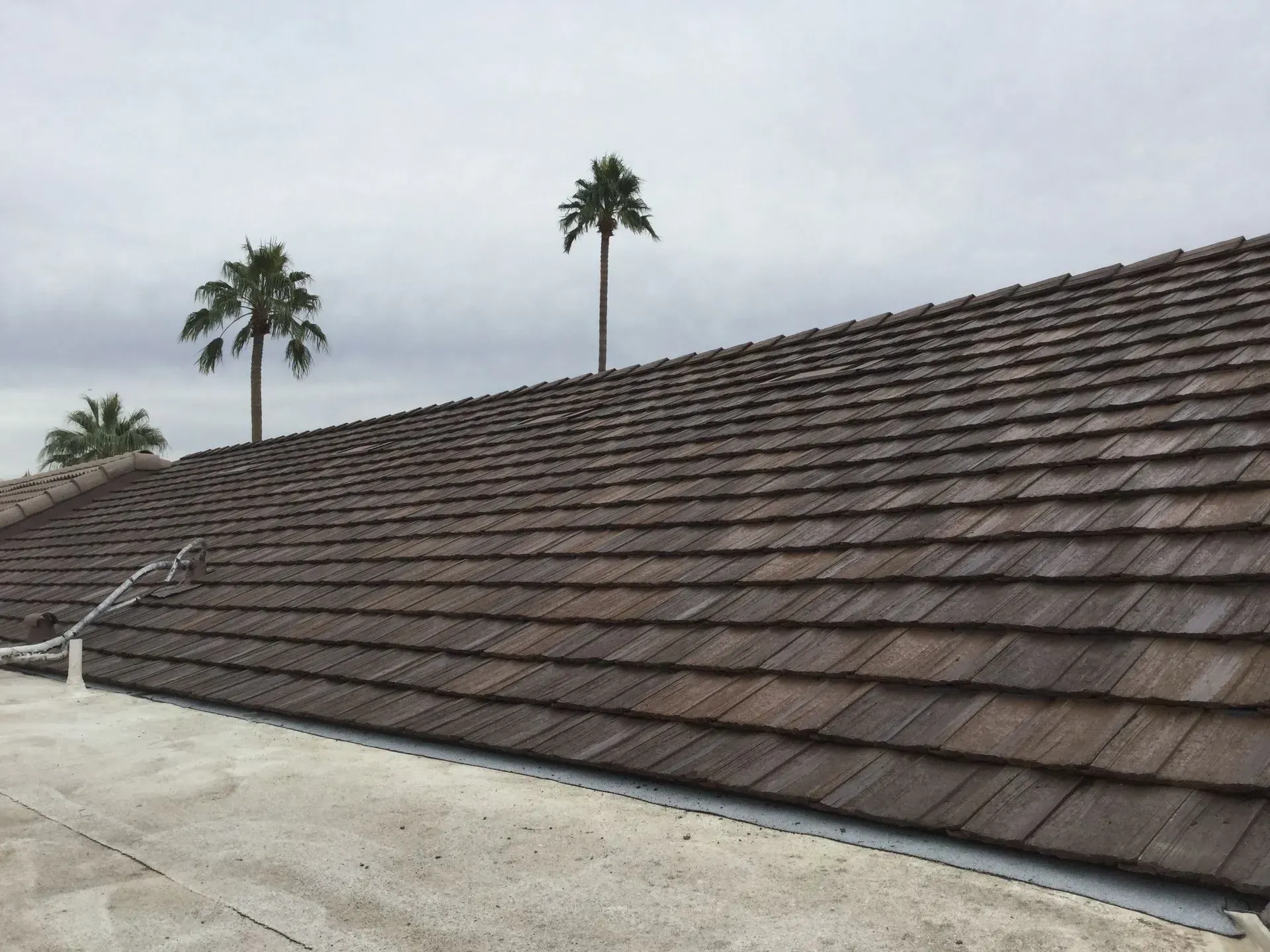 Sloped brown shingle roof with palm trees against a cloudy sky