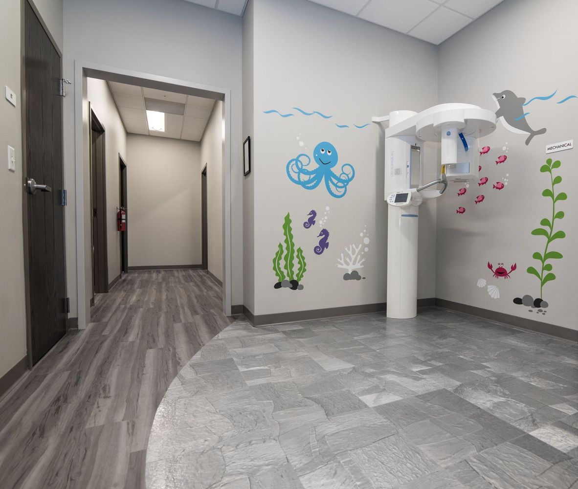 Dental office with gray walls, decorative ocean theme, and panoramic X-ray machine.