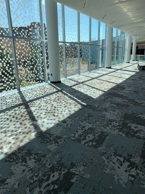 Interior hallway with sunlight filtering through patterned windows, casting shadows on the patterned carpet.