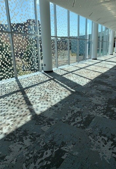 Interior hallway with patterned windows and sunlight casting shadows on the carpeted floor.