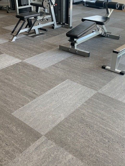Gym floor with alternating light and dark gray carpet squares. Weight training equipment in background.