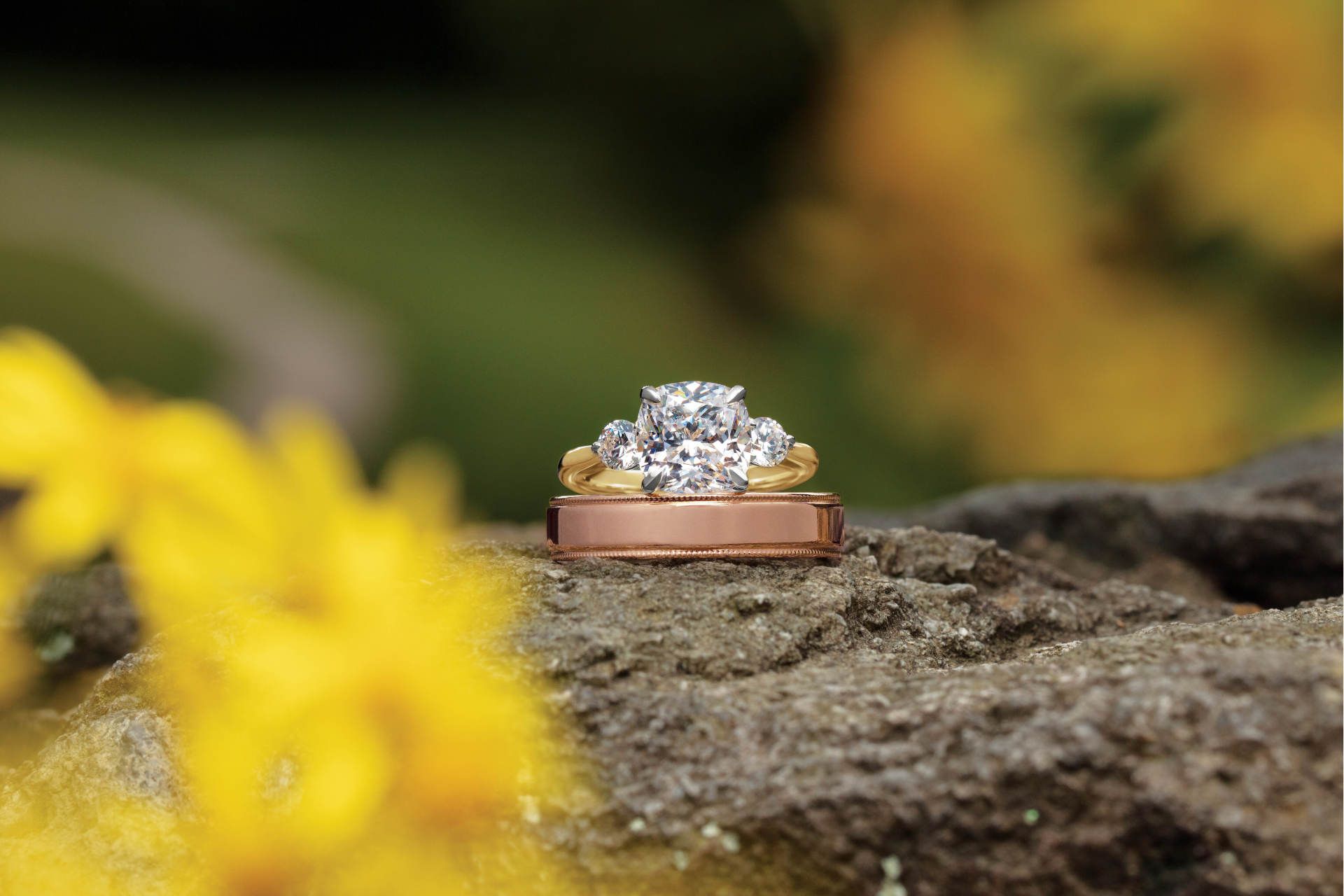 Elegant Rings and Bands