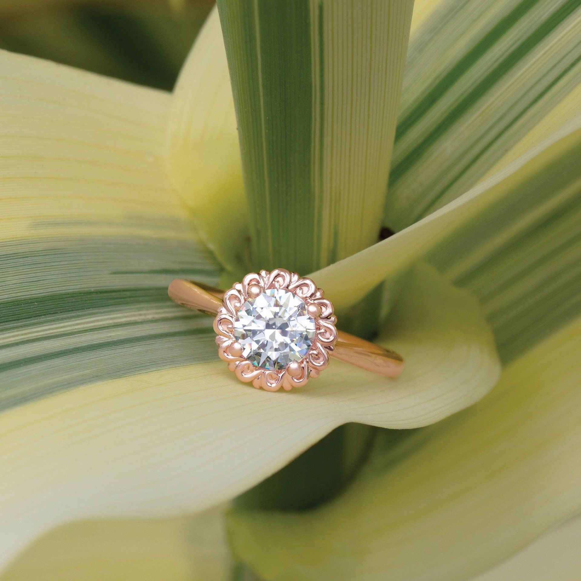 Elegant Rings and Bands