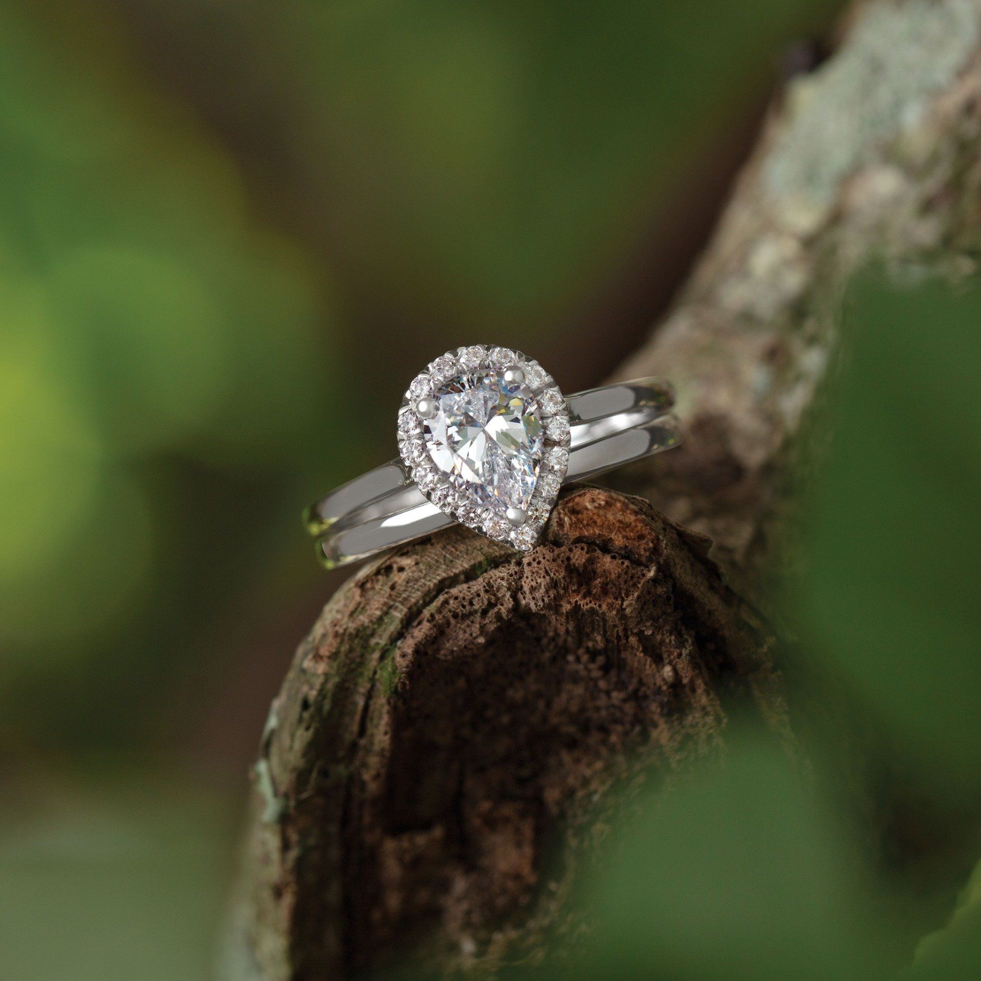 Elegant Rings and Bands