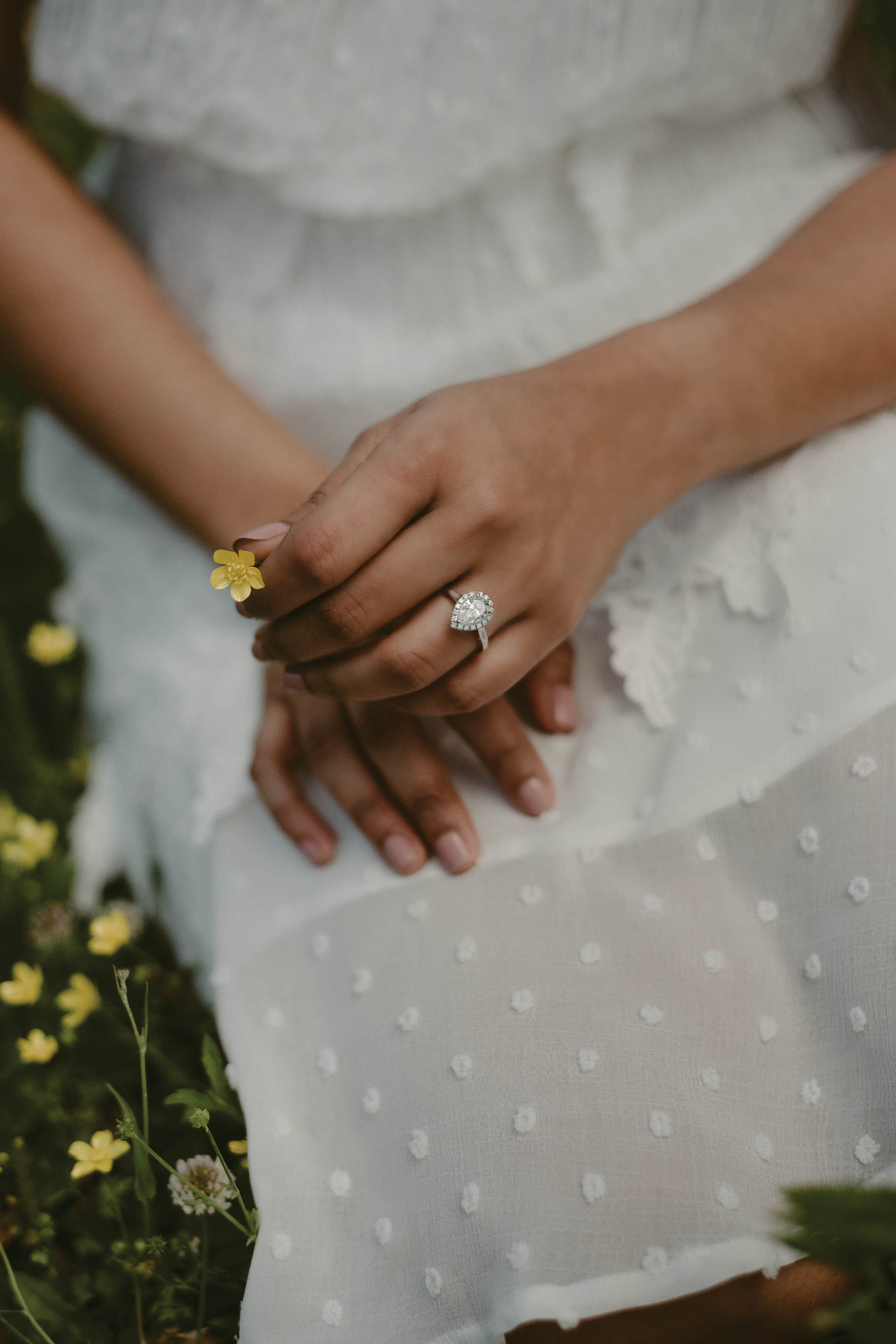 Elegant Rings and Bands