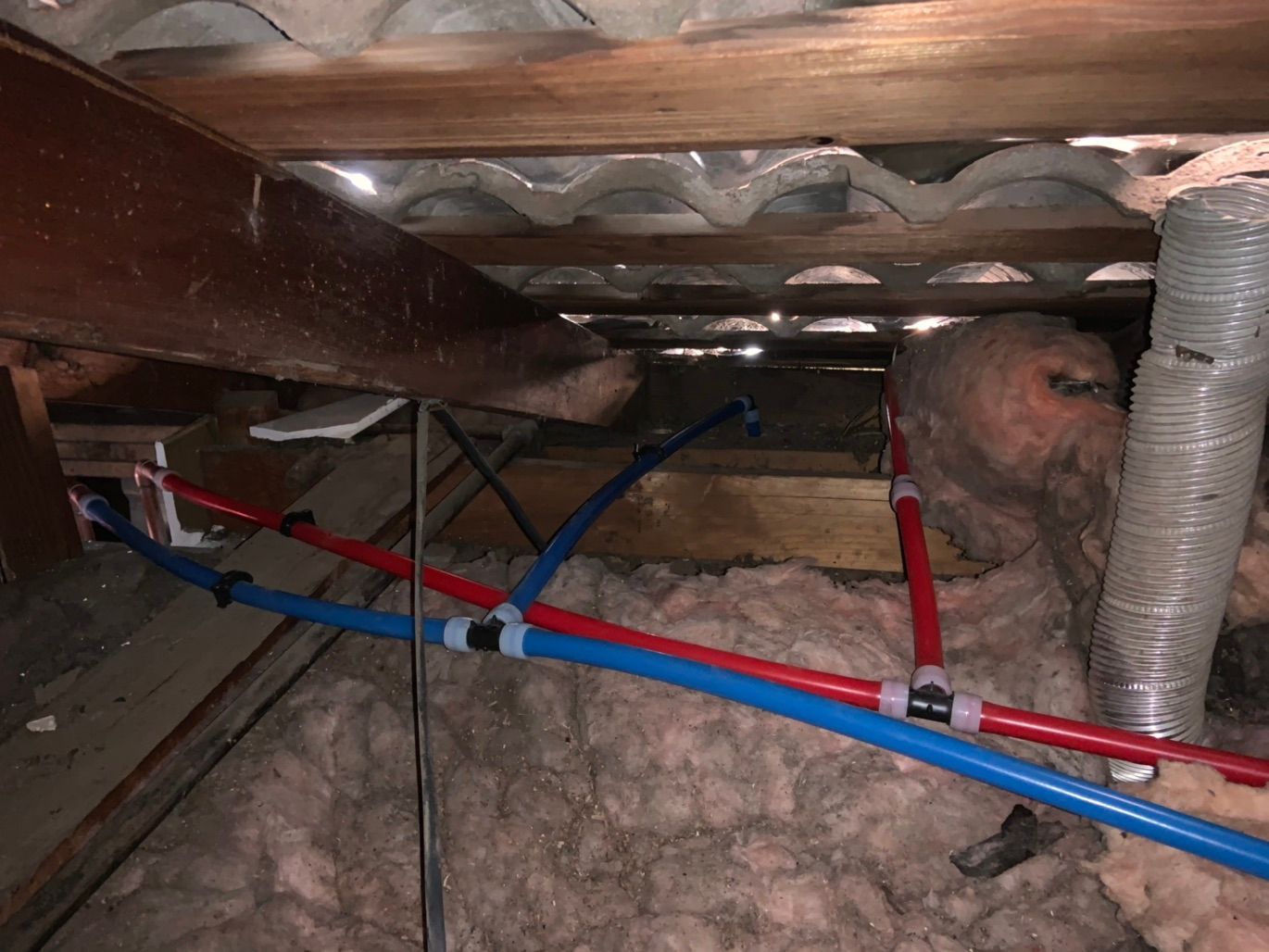 Pipes in an attic. Blue and red PEX plumbing against insulation. Wooden beams and corrugated roofing overhead.