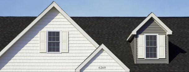 Black shingle roof