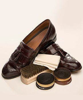 Shoe polish
